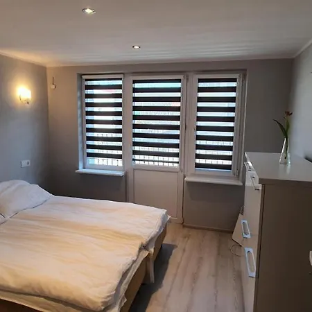 منزل للإقامة Przystanek Alaska دجيفنوفيك